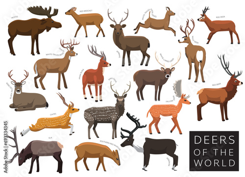 Fotografia Deers of the World Set Cartoon Vector Character