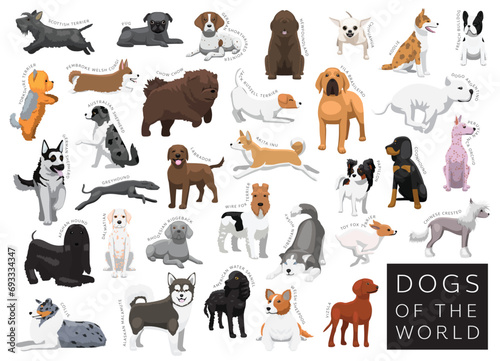 Dogs of the World Set Cartoon Vector Character