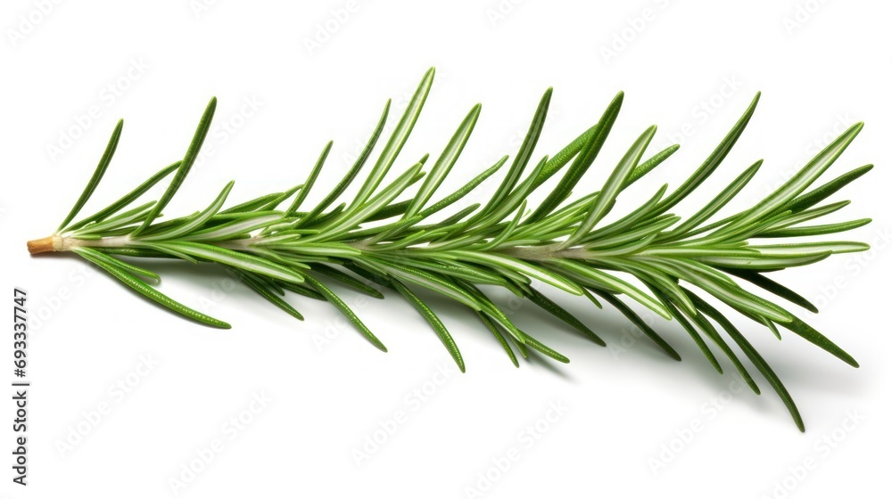 Fresh branch UHD wallpaper Fresh branch UHD wallpaper