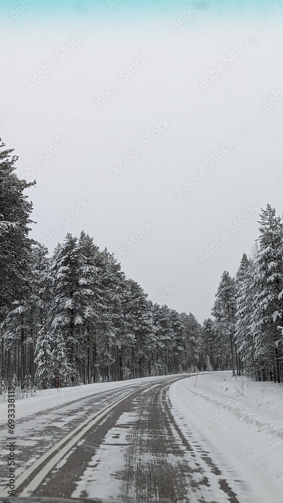 Fototapeta premium road in snow
