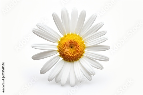 A close-up photograph of a flower on a white surface. This image can be used for various purposes