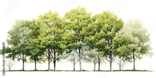 A picture of a group of trees standing in the grass. Suitable for nature-themed projects and outdoor-related designs