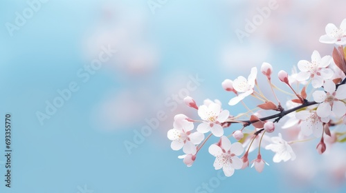 small white flowers Color tones on a soft blue and gentle pink background outdoors,