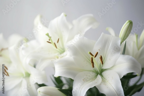 White lilies closeup pure bloom. Lily garden flower decoration bloom. Generate Ai