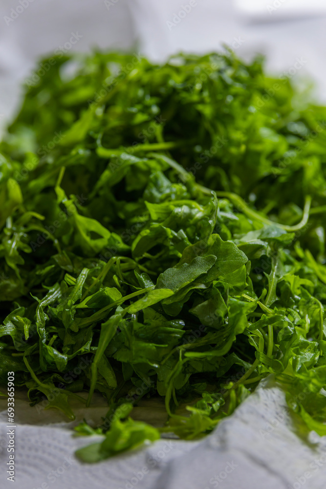 Drying Rucola with Kitchen Paper Close-Up Drying Rucola with Kitchen Paper Close-Up