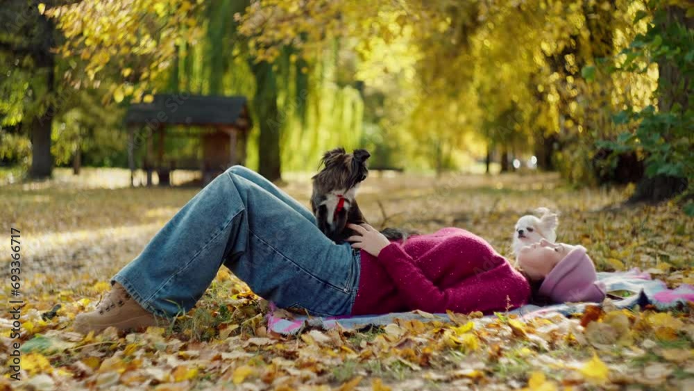 Seasonal Pet Care: Loving Girl Holds Dogs on Yellow Leaves Stroll. High quality 4k footage Seasonal Pet Care: Loving Girl Holds Dogs on Yellow Leaves Stroll. High quality 4k footage