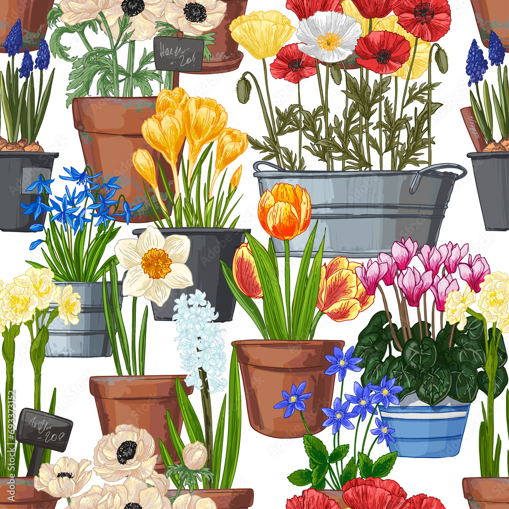 Pattern Garden flowers in a pot. Vector color sketch of summer and spring flowers on a white background.