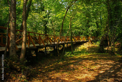 A raised wooden walkway in the Japod Islands, or Japodski Otoci, near Bihac in the Una National Park. Una-Sana Canton, Federation of Bosnia and Herzegovina