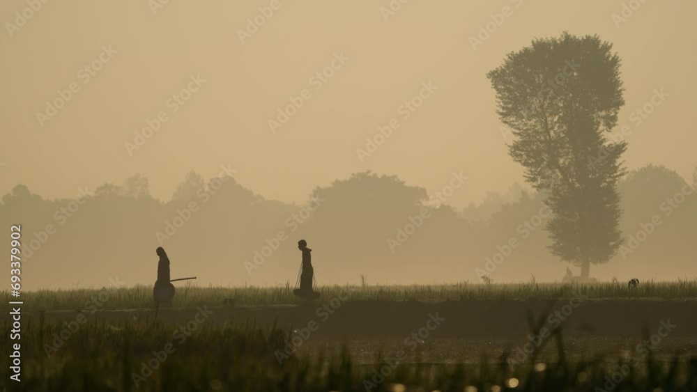 Foggy winter morning video of rural Bangladesh with ambient sound. Serene and picturesque footage for use in videos about nature, travel, and rural life. Biking, cycling, hiking, travel, vacation Foggy winter morning video of rural Bangladesh with ambient sound. Serene and picturesque footage for use in videos about nature, travel, and rural life. Biking, cycling, hiking, travel, vacation