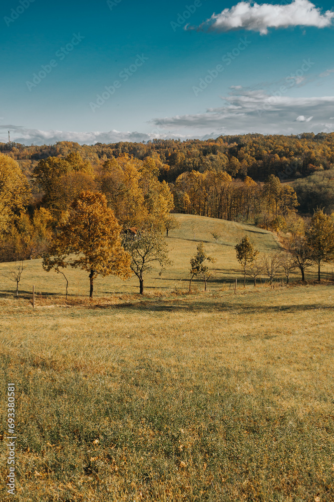 Fototapeta premium autumn landscape in the countryside
