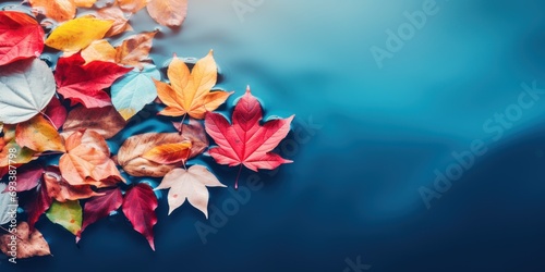Colorful autumn leaves floating on water surface. copy space