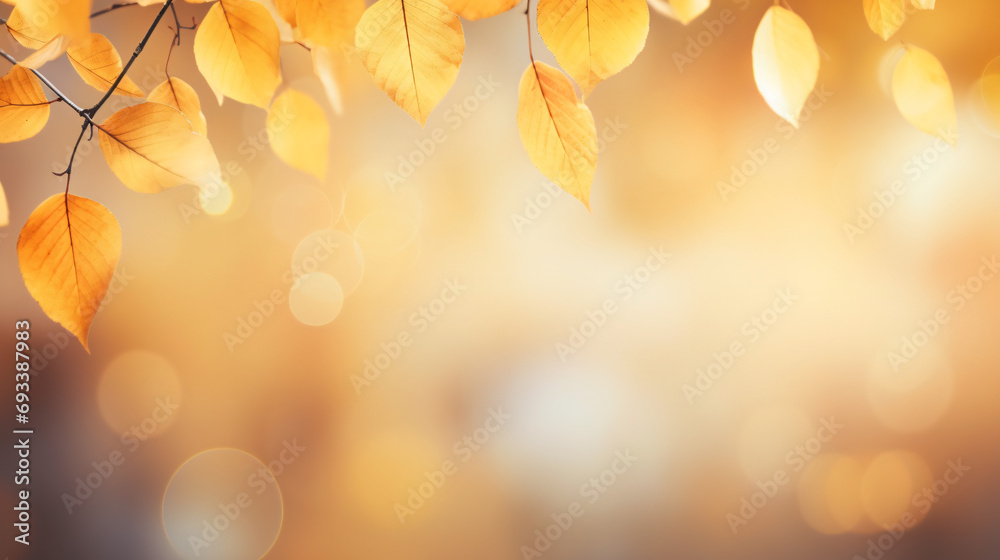 Abstract light autumn background yellow leaves autumn