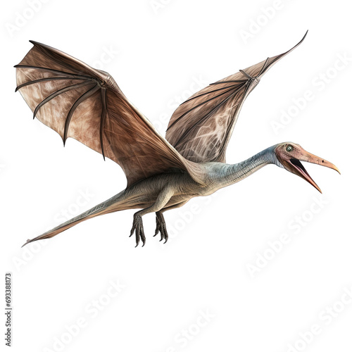 pteranodon isolated on white © Ariestia