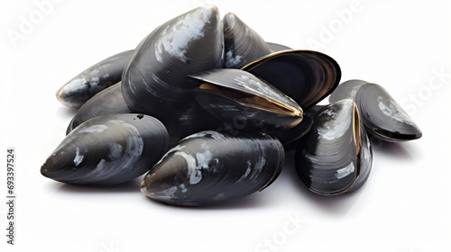 Black mussels isolated on white background