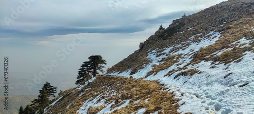 Tikjda,  Djurdjura national park
Landscape view from the heights of the Tikjda national park in Bouira Algeria photo