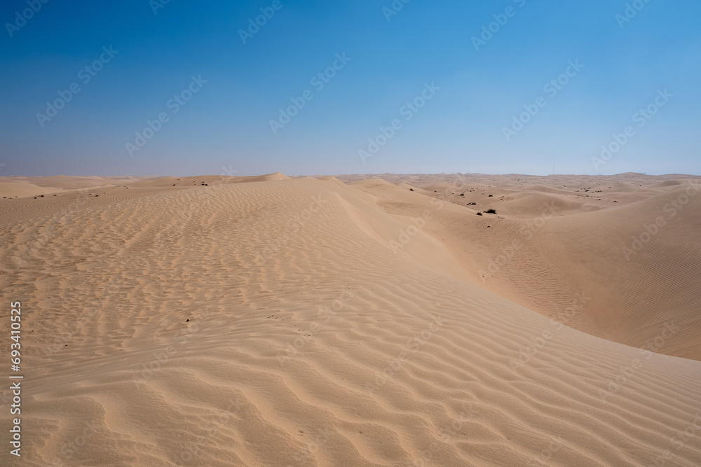 Al Qudra camels empty quarter seamless desert sahara in Dubai UAE middle east with wind paths and sand dunes hills under gray cloudy sky Al Qudra camels empty quarter seamless desert sahara in Dubai UAE middle east with wind paths and sand dunes hills under gray cloudy sky