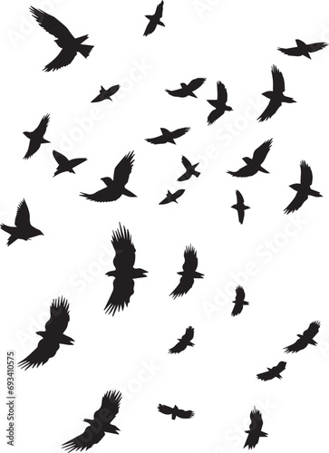 Flying birds silhouettes on white background © Qurban Vector & Ai