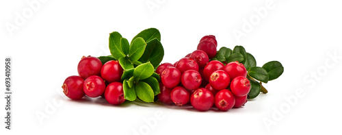 Wild cowberry, foxberry, lingonberry with leaves, isolated on white background. High resolution image. © GSDesign