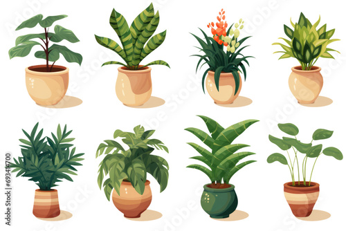 set of potted plant for office decoration isolated on white or transparent png