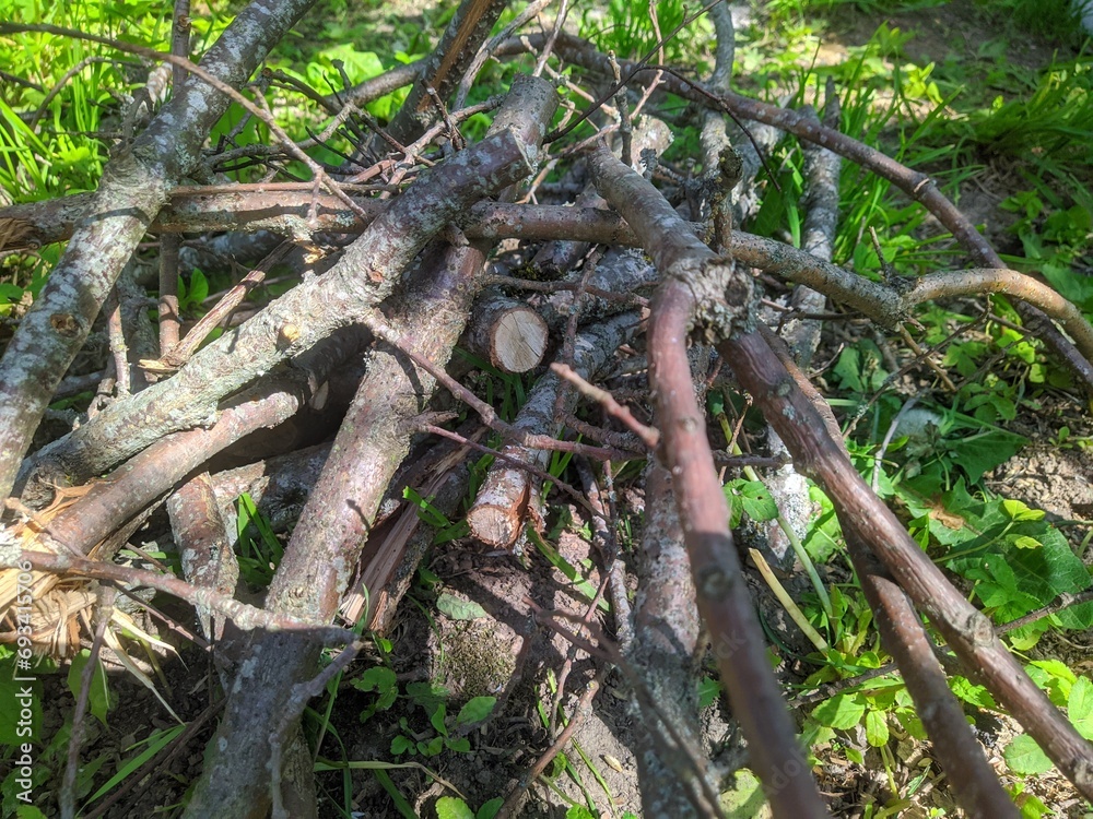 Fototapeta premium Dry branches for a fire on the grass. dry branches for a fire in the summer during the day