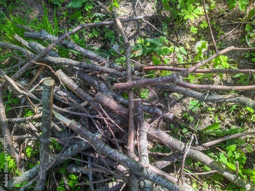 Dry branches for a fire on the grass. dry branches for a fire in the summer during the day