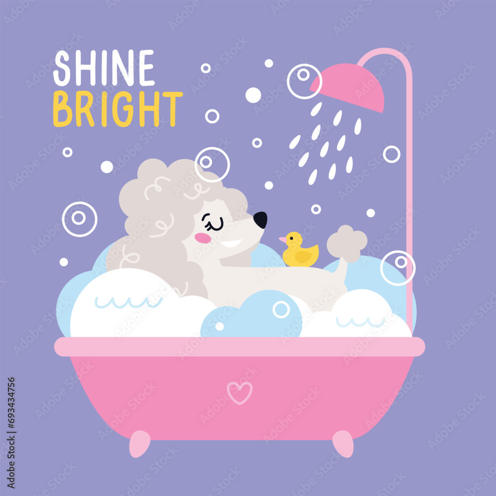 Fototapeta premium Dog pet grooming. Caring about dog Poodle. Pet washing in bath with watering can for shower. Flat vector illustration