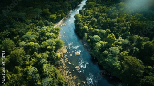 serene aerial view of lush rainforest river in tropical wilderness - nature drone photography