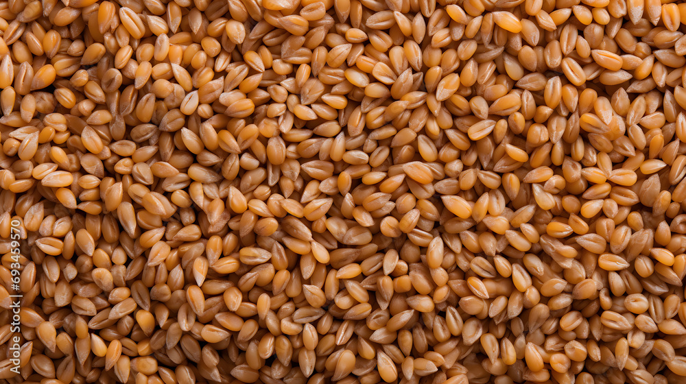 Full Frame of Wheat, Capturing the Beauty of Ripening Grains in Abundance. Full Frame of Wheat, Capturing the Beauty of Ripening Grains in Abundance.