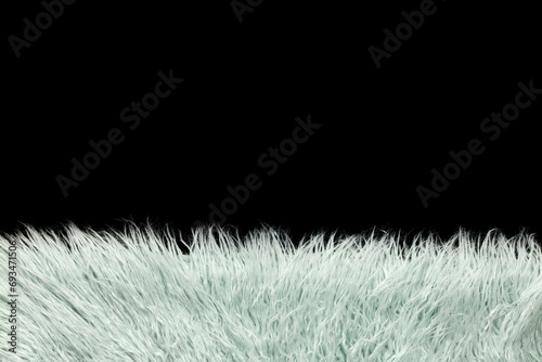 Blue fur edge photo