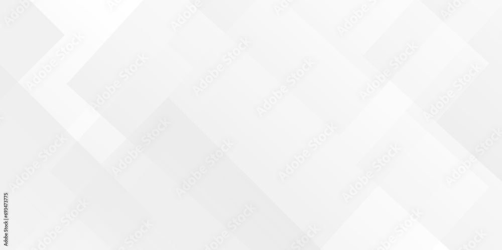 Modern Abstract white and gray triangle technology lines. white light & grey background. Space design concept. Decorative web layout or poster, banner. White grey background vector design. Modern Abstract white and gray triangle technology lines. white light & grey background. Space design concept. Decorative web layout or poster, banner. White grey background vector design.