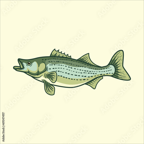 Striped bass fish mascot character cartoon vector illustration photo