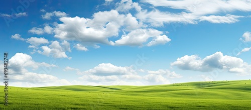 Blue sky with clouds over green meadow.