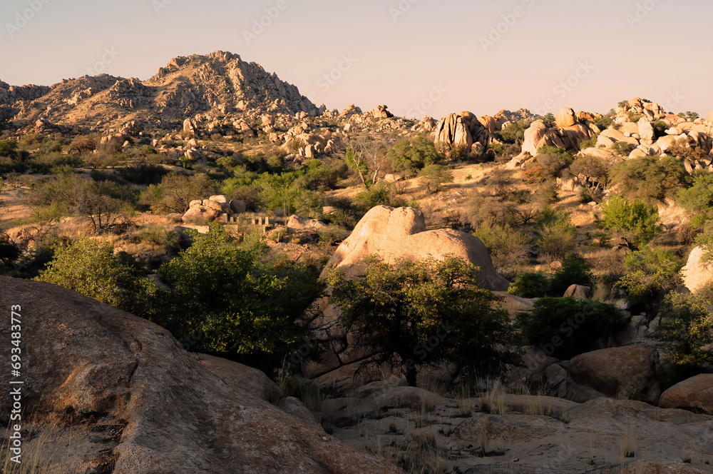 Fototapeta premium Texas Canyon Sonora Desert Arizona Sunset
