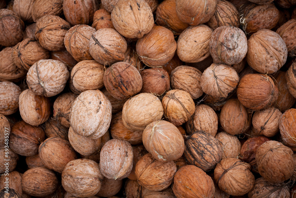 many ripe walnuts many ripe walnuts