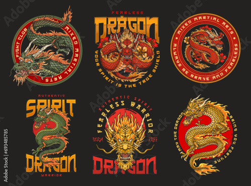 MMA dragon set poster colorful