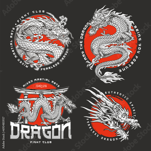 MMA dragon colorful set flyer