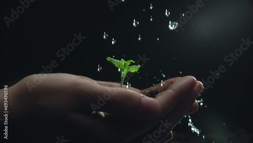 Woman hands holding green seedling. Water drops falling on a sprout leaves over soil in slow motion. New eco life and waste concept. Plastic free. Earth day. ESG nature environment save photo