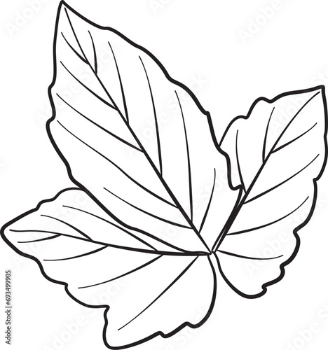 Illustrated Leaf Clip Art Element © Always