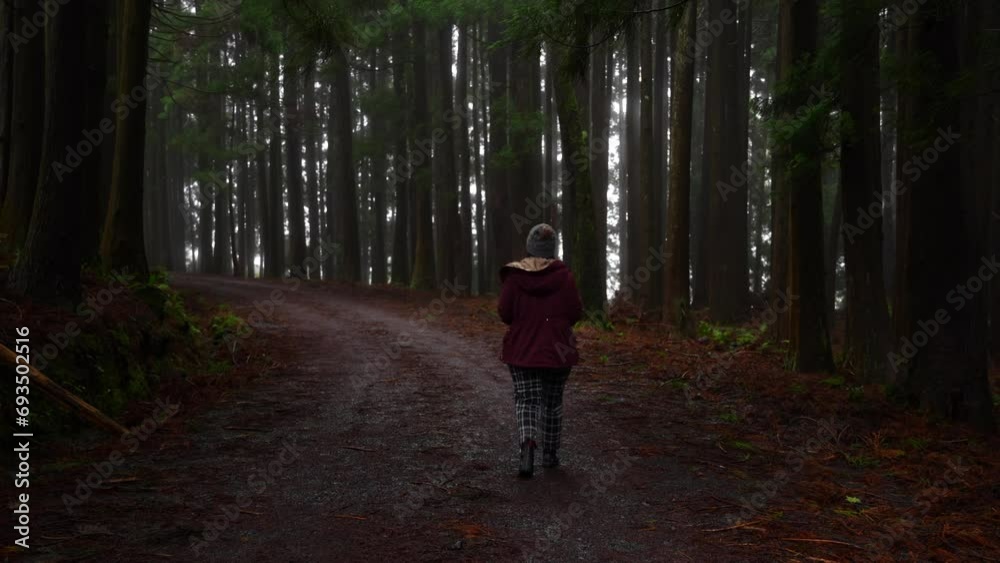 Woman walking through dark forest along path of red volcanic stones in Azores Woman walking through dark forest along path of red volcanic stones in Azores