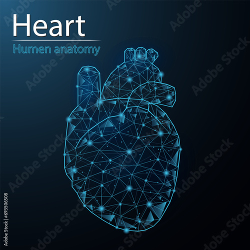 Human heart anatomy organ translucent low poly triangle futuristic glowing. On dark blue background. Heart and blood vessels system disease medical innovation concept.