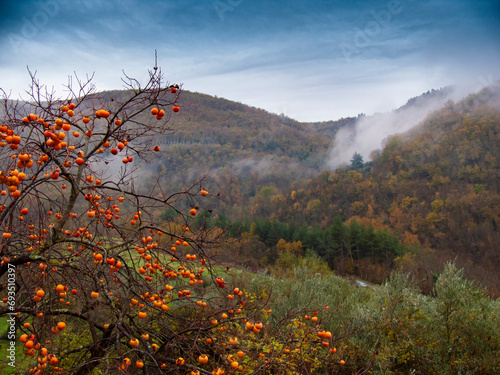 Italia, Toscana, Firenze, il paese di Londa, la campagna di Londa con nebbia in un giorno d'autunno.