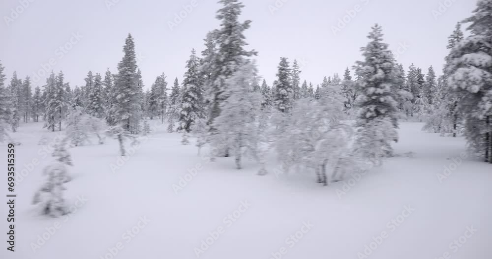 Snowy arctic forest landscape travel Snowy arctic forest landscape travel