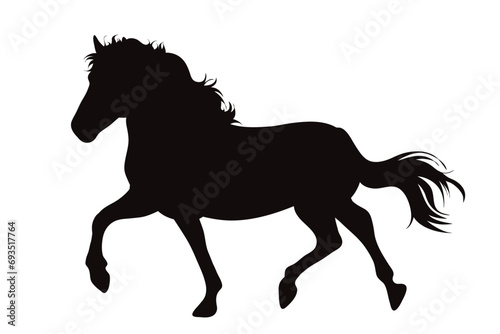 Vector silhouette of horse on white background. Symbol of stallion and horse riding.