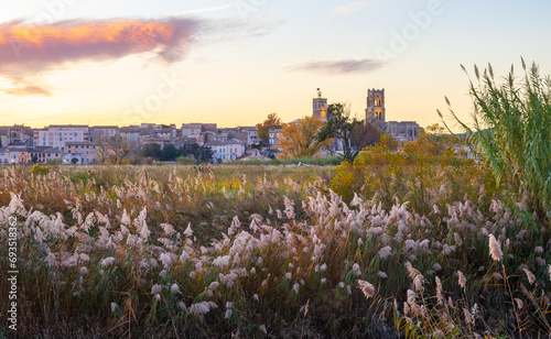 Fotografie Pont-Saint-Esprit over the Rhone in Occitanie