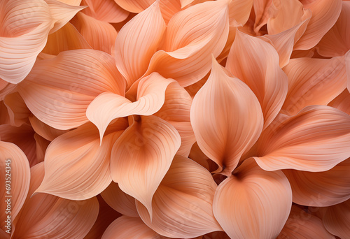 Peach leaves close up. Background in peach fuzz color photo