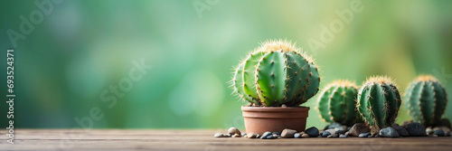 Extraordinarily beautiful flowering cacti, on a blurred background, close-up, macro shooting, background image. Generative AI