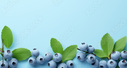 Fototapeta Naklejka Na Ścianę i Meble -  blue background with blueberries fruits with place for text
