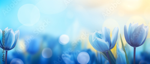 Flores azuis desabrochando com iluminação azul no campo - Papel de parede macro photo