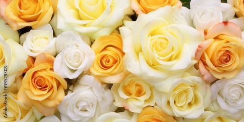 Roses stock photo close up yellow  white rose flowers stock photo  in the style of pastel palette  biedermeier  vintage-inspired  rtx on  floral  elaborate  anne geddes