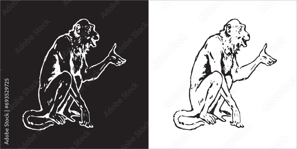 Illustration vector graphics of monkey icon Illustration vector graphics of monkey icon